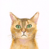 ソメちゃんマム