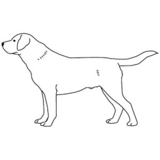 キャサリン雅子