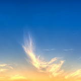 レフト・アローン