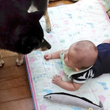 ふれふれふれんち