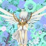 まけいぬと散歩