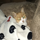 ゆう。。。。。