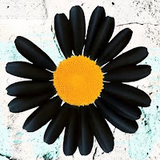 ジョンローレンスサリバン