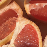 みかんちゃん。