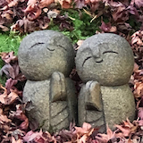 ツルピカーノむーさん