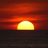 クレクレタコライス