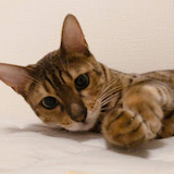 酔っ払いさん※感覚でものを言います