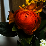 おこげシアター