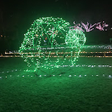 バイスハイライト