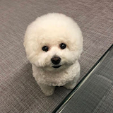 ☆〜（ゝ。∂）