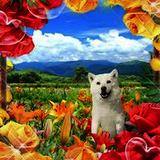 アリストテレス