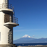 イーグルスとジャスと蕎麦が好き