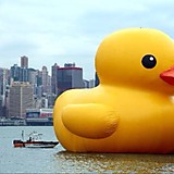 まんじゅう監督