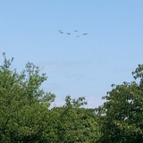 リリージュンヤ