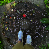 D原ちんちん公園