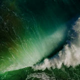 もきちしげよし