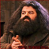 セドリック ディゴリー