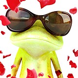 ヒッピィラリホ