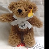 神戸のくまさん