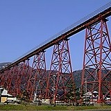 トラトラタイガース