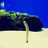 わたしのプレミアライフ