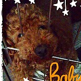 きこ(๑°◡ु˂̶๑ૂ)