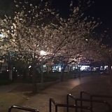 ニコニコさんさん