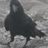 生卵パラダイス