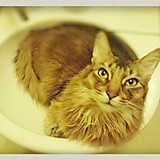 爽くんを愛でる人