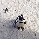 えすごうちゃん