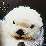 ぽよちゃんの友達