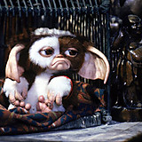 こんぶときのこ