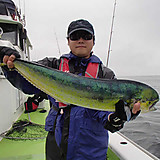 クリスマス釣りー