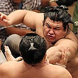 どすこいパンナコッタ