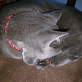 こうぼく(-.-)y-~~