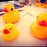 ピーチフラワー