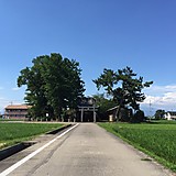 よっさん(￣ー￣)