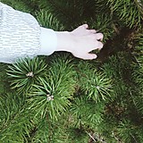 ナナナナナナナ