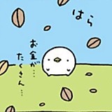 もうふう
