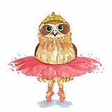 サリージャック