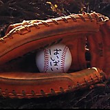 さくやくしょん