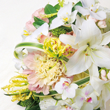 やさい屋トマト