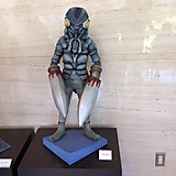 モロもろきゅう