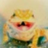 たけはらひかろ