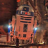 丸ハム （3.0：基本点 3.5：人に勧められる 4.0：好き！また見たい）