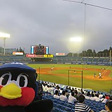 つばくろ大作戦