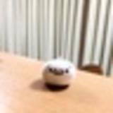 まーくん (o^_ｰ)b