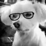 ふぅむふむふむ