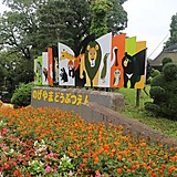 映画好きなイヌ