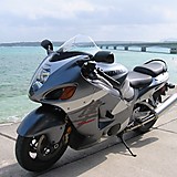 アスリートハヤブサ